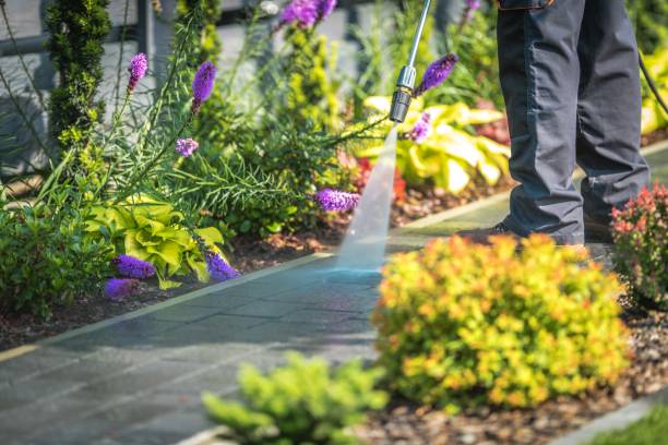  Stayton, OR Pressure Washing Pros